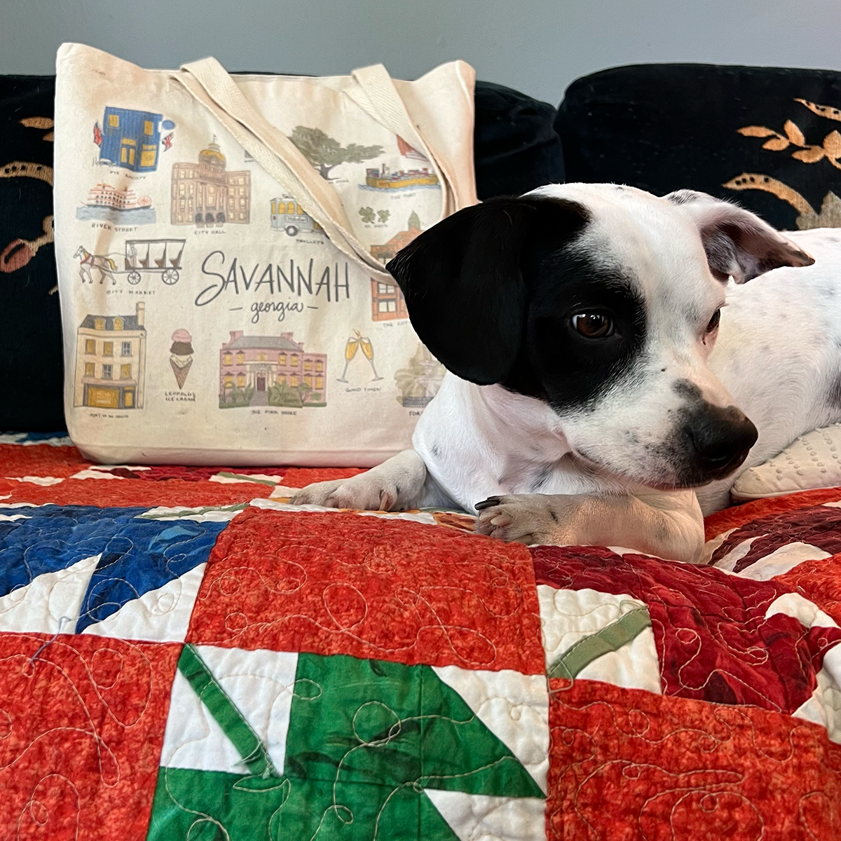 L. R. Fern - Wholesale Tote Bag - Unisex - Savannah Sights Tote Bag4