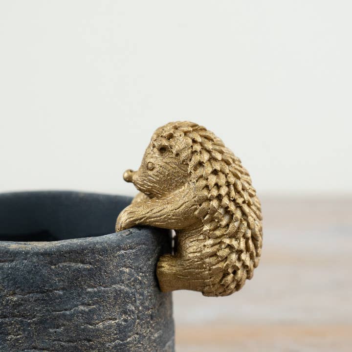 Gainsborough Giftware x Portland Living - Wholesale Plant Pot - Planter with Hedgehog Pot Hanger, 11cm 1