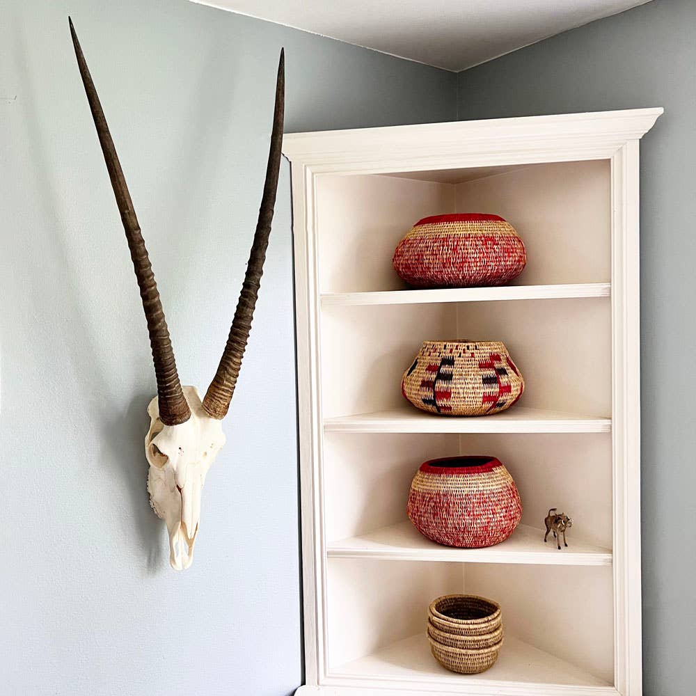 OUTPOST ORIGINAL - Wholesale Wall Accent - African Gemsbok Horn - Full Skull2
