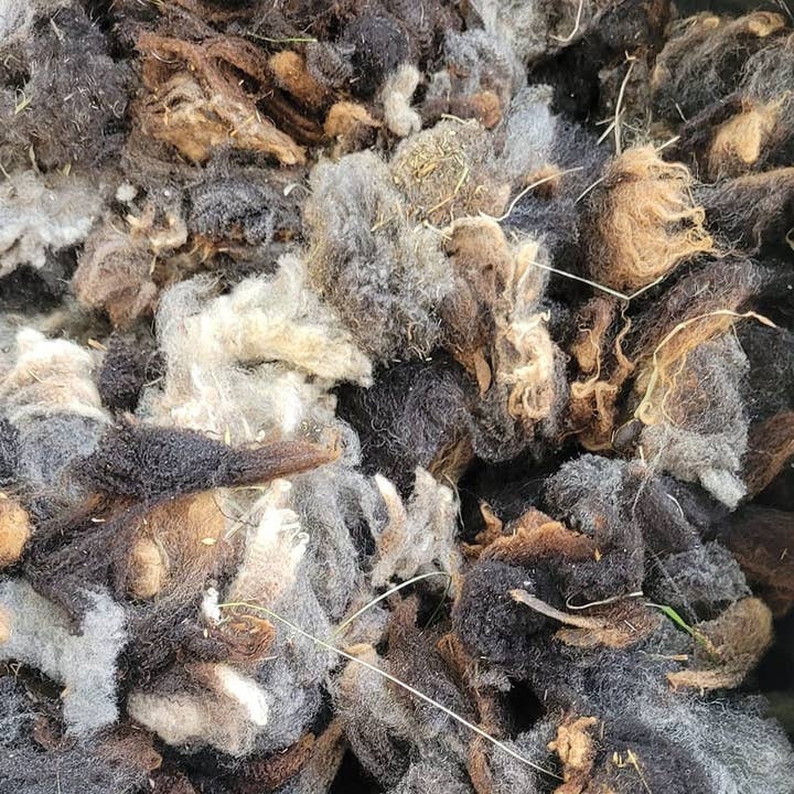 Re-Ewe'able - Wholesale Fertilizer - Wool Pellets - Natural Fertilizer & Soil Amendment2