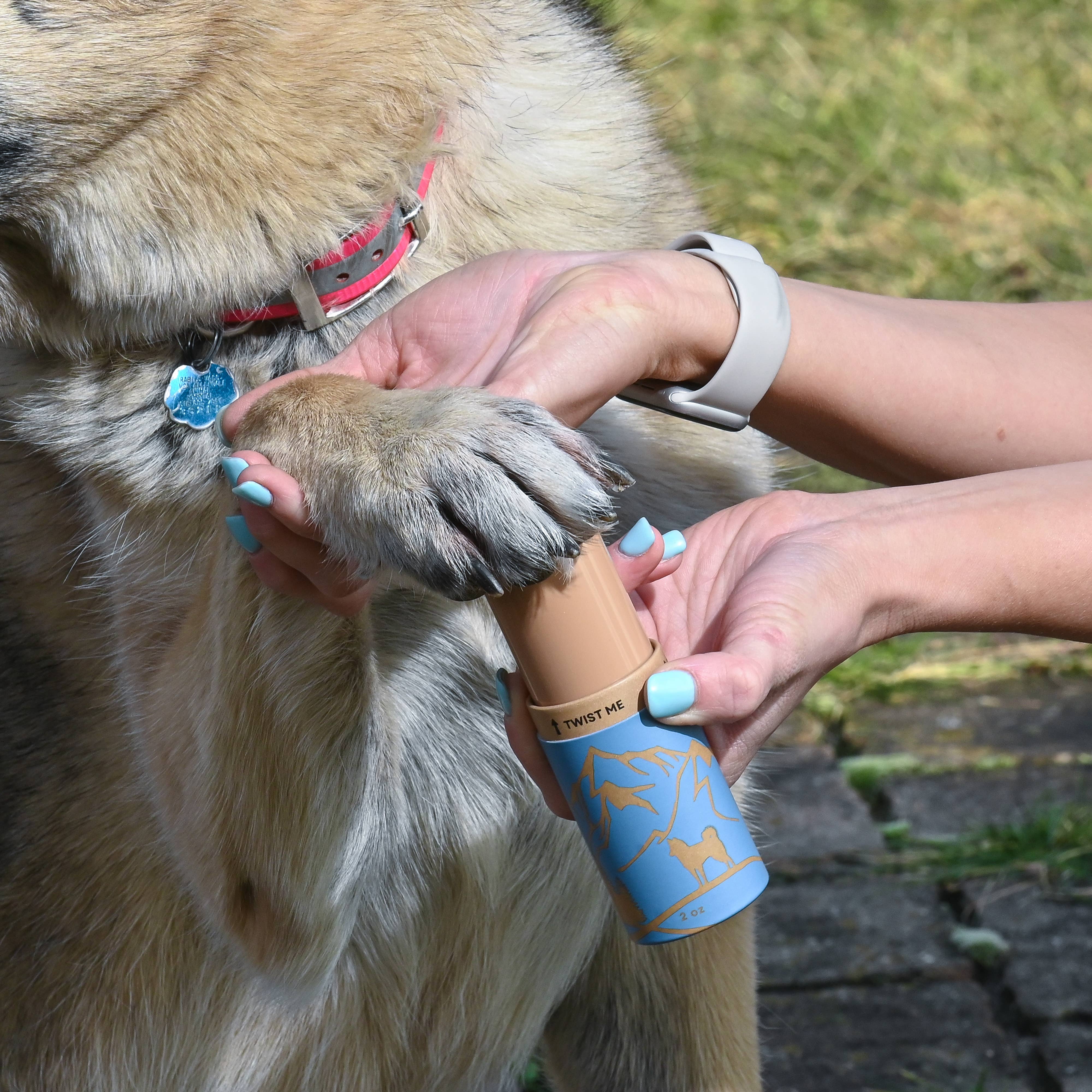 canine paw protection