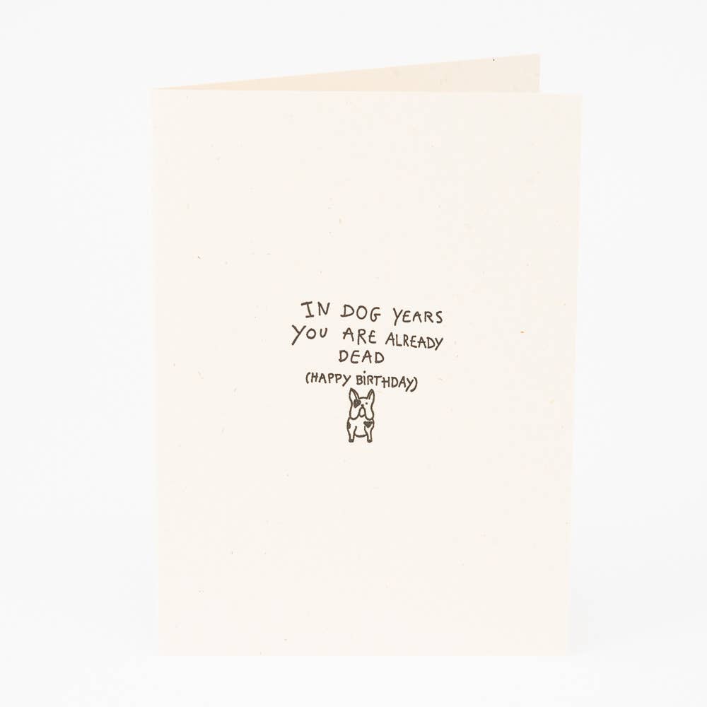Studio Flash - Wholesale Birthday Card - F-S60 'In dog years'0