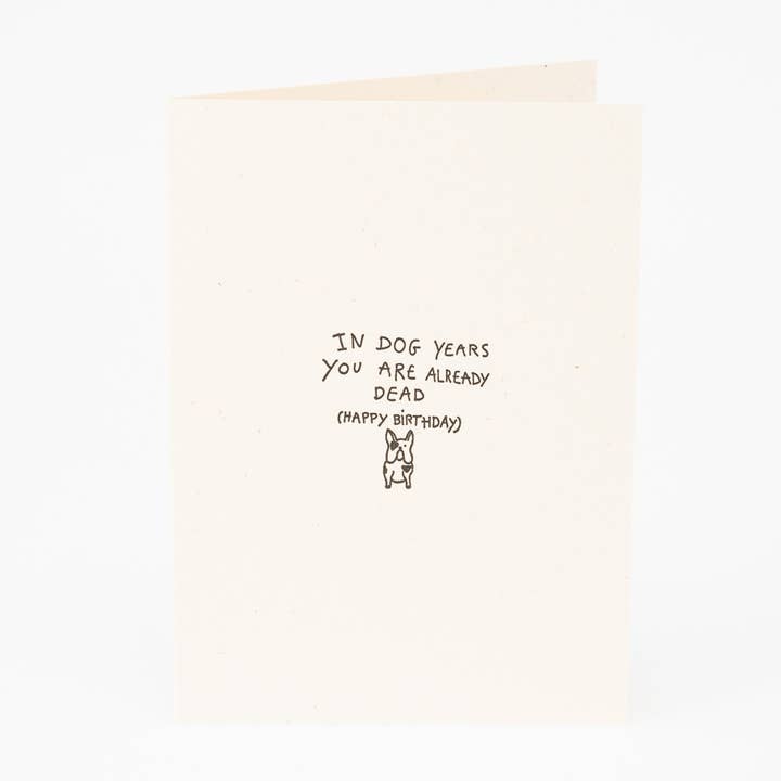 Studio Flash - Wholesale Birthday Card - F-S60 'In dog years'