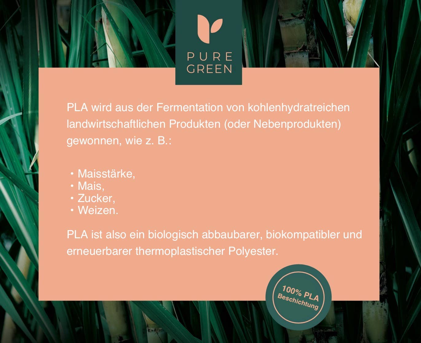 PUREGREEN GmbH – Engroshandel Engangsbæger – 100 % biologisk nedbrydelig plantebaseret kaffebæger (50 stk.)3