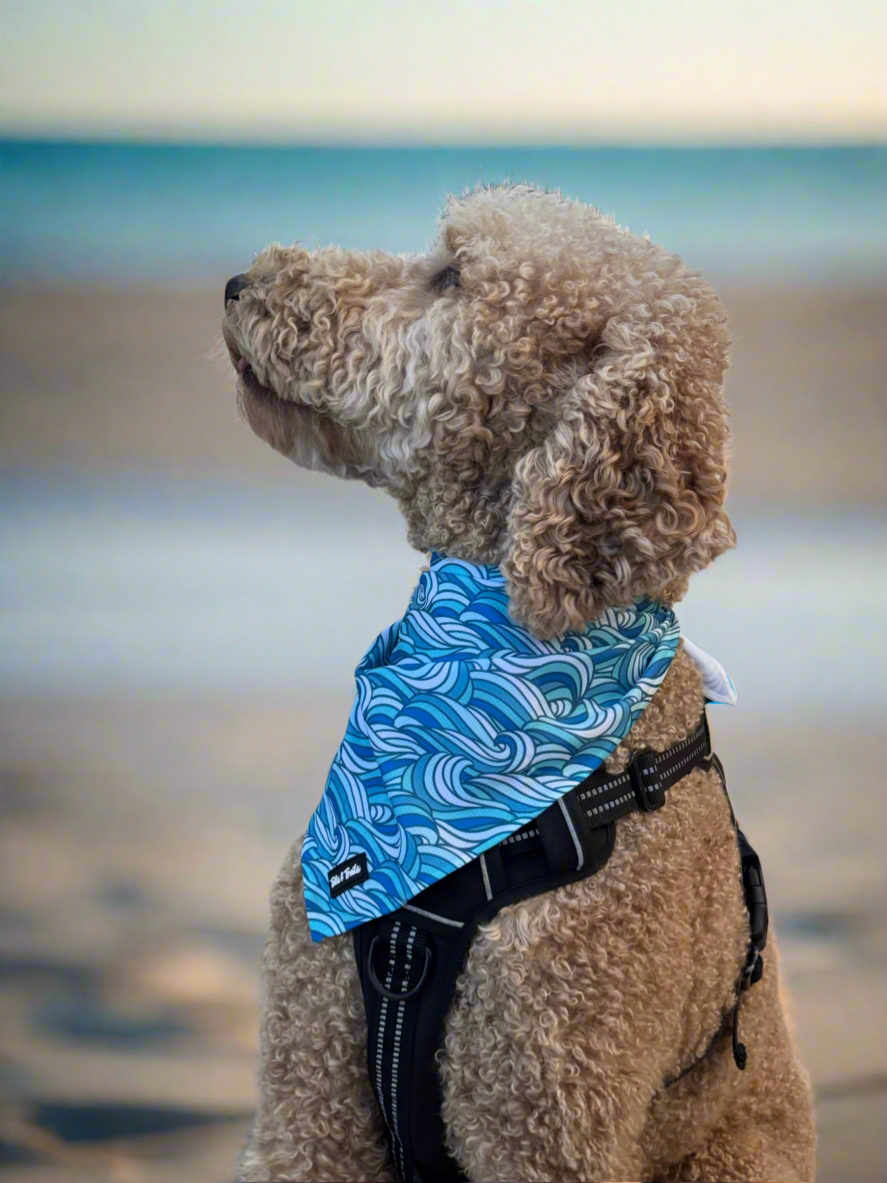 Tails and Trails - Wholesale Hondenbandana - Hond - Riptide Bandana2