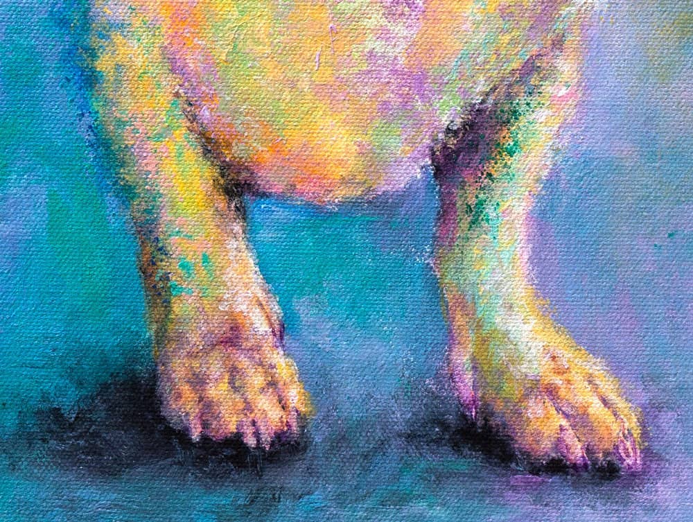 Krystle Cole Fine Art - Wholesale Art Print - Dachshund Art Print - Harry2