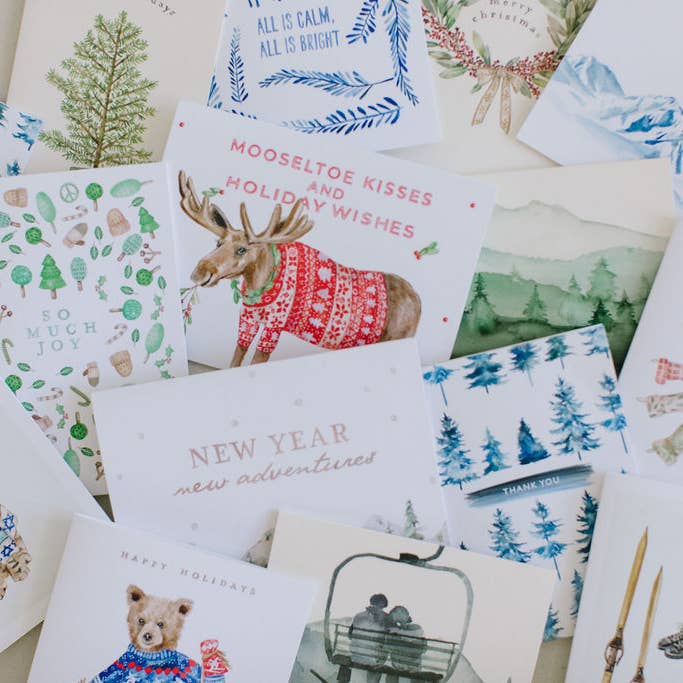 Lana's Shop – Großhandel Saisongrußkarte – Grußkarte mit Skibär-Motiv, Box-Set