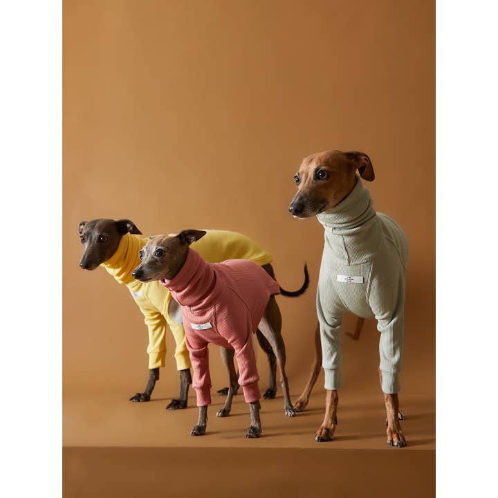 The Striped Dog - Vendita all'ingrosso Maglione - Cani - Maglione dolcevita a costine con levriero italiano/Whippet TULERIE
