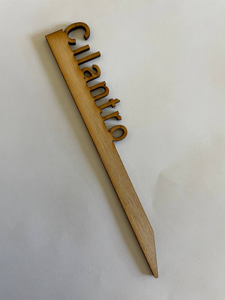 Cilantro 6" (10 contagens) por atacado de TimberviewForge