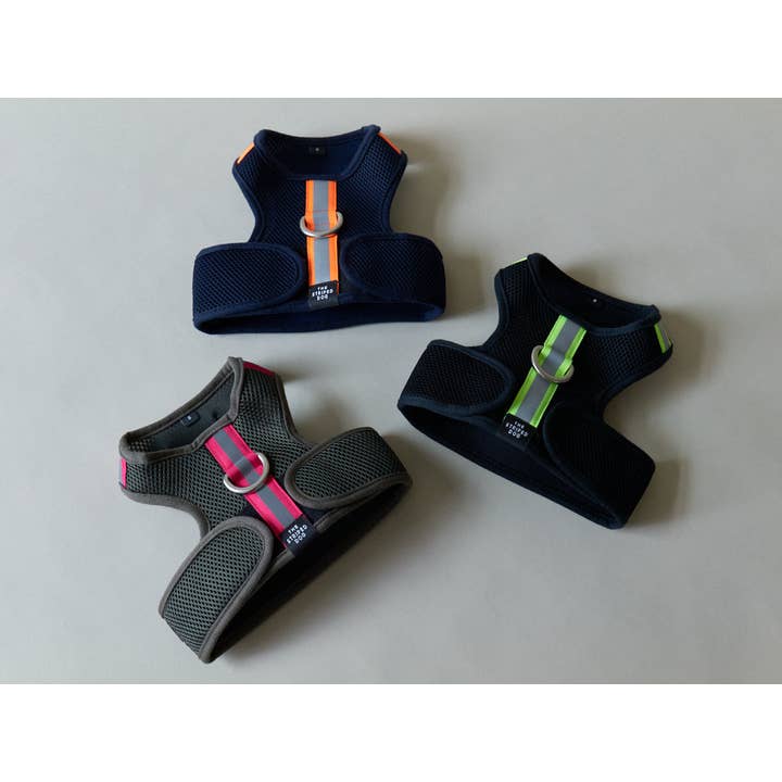 The Striped Dog - Wholesale Pet Harness - Dog - Italian Greyhound/Whippet Black Neoprene Harness