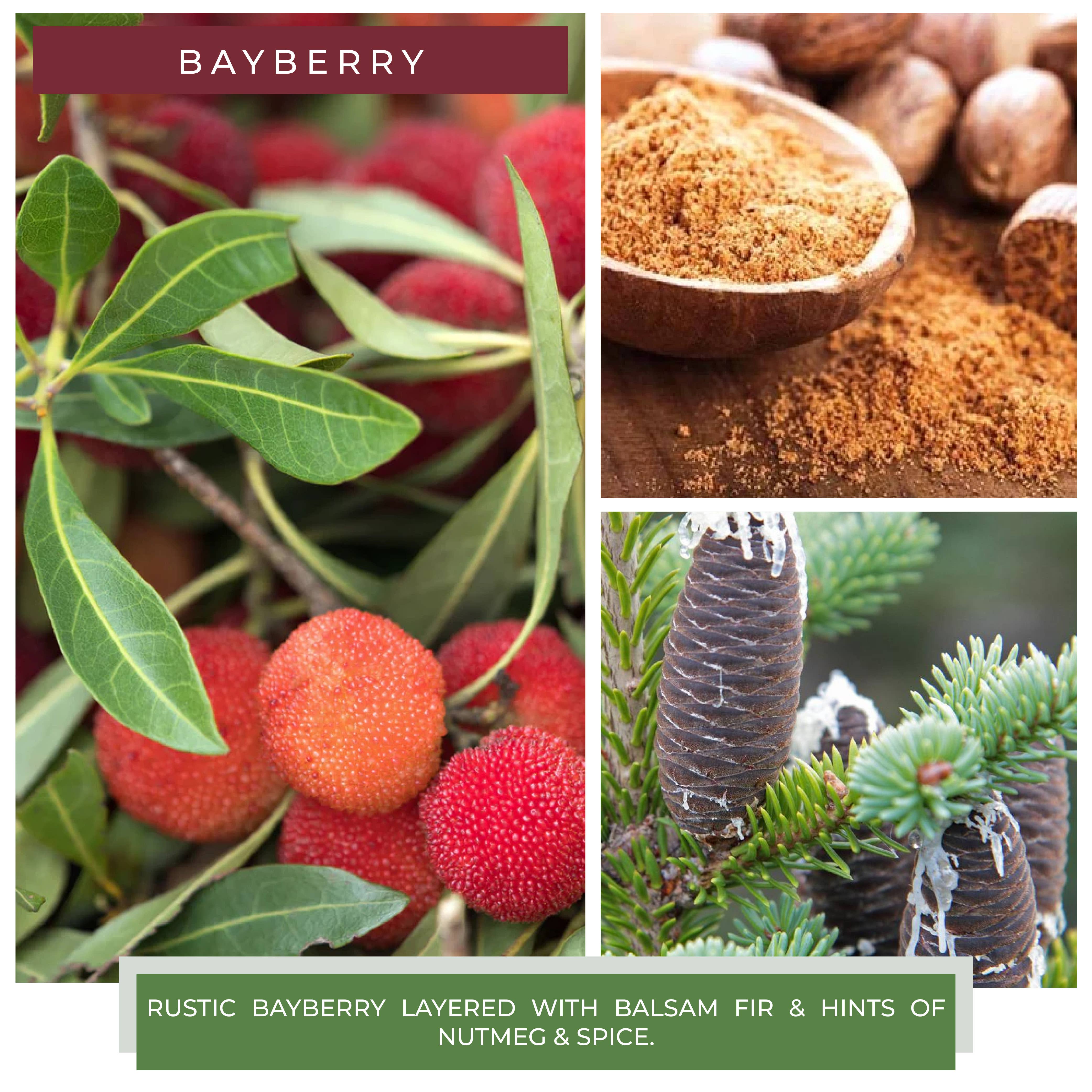 A Cheerful Giver – wholesale Wax melt – Melts (8/box) - Bayberry2