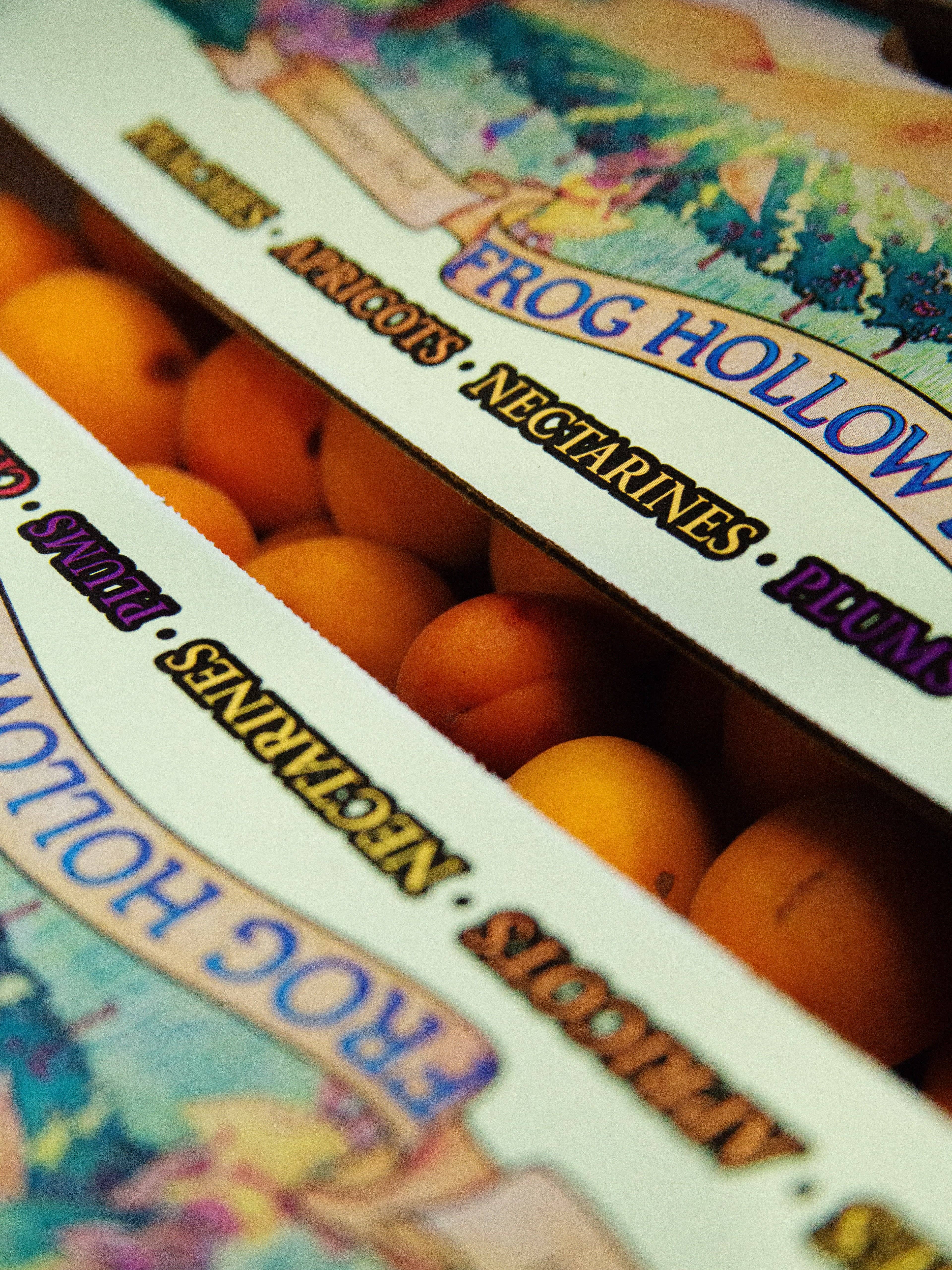 Sqirl - Wholesale Jam/Jelly -  Kettleman Apricot & Kettl Soba Cha Fruit Spread3