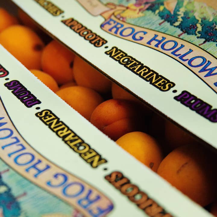 Sqirl - Wholesale Jam/Jelly - Kettleman Apricot & Kettl Soba Cha Fruit Spread3