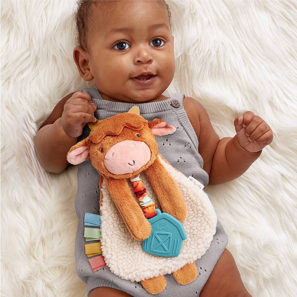 Itzy Ritzy - Wholesale Teether (Not Clip-On) - Baby - Highland Cow Itzy Friends Lovey™ Plush10