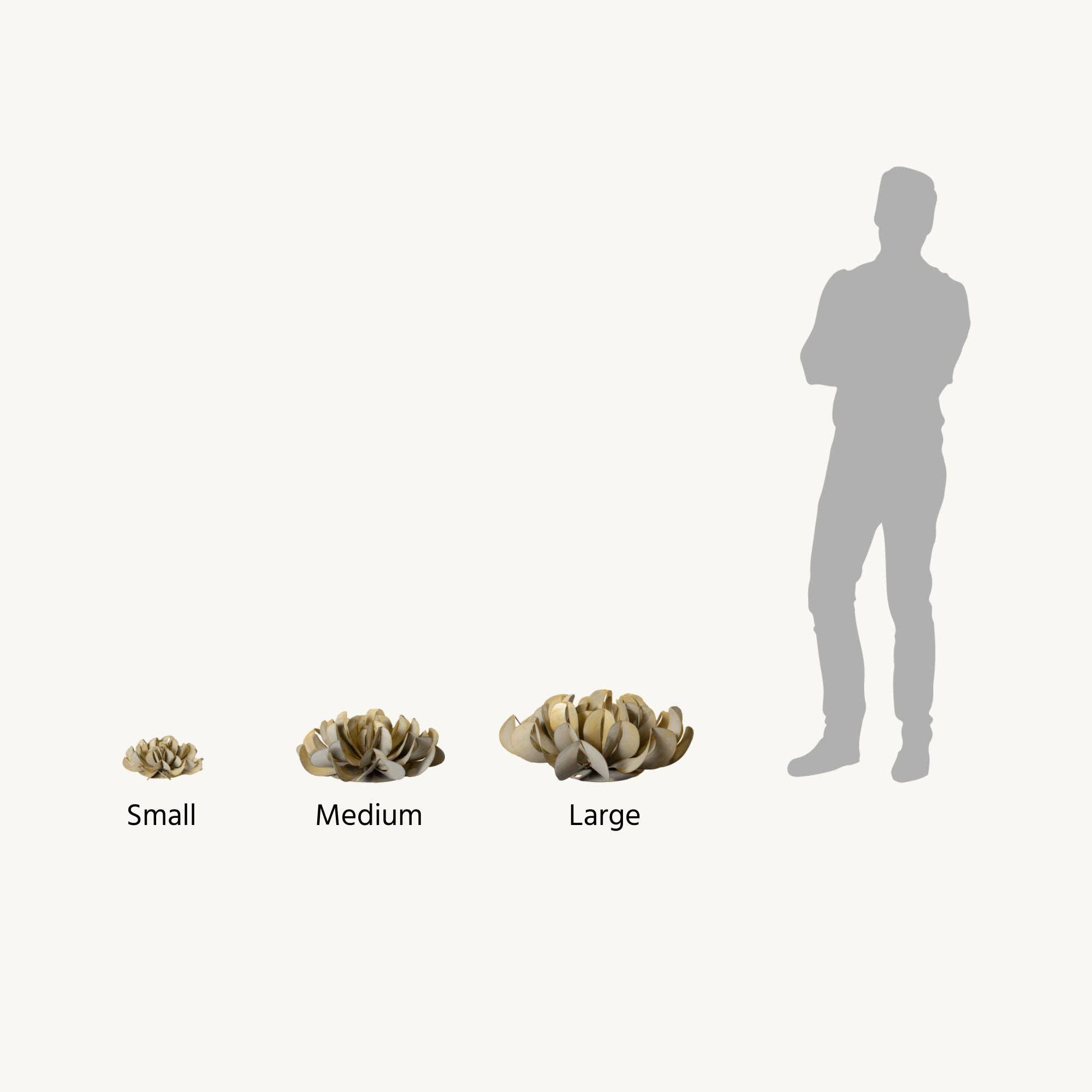 Desert Steel - Vente Plantes artificielles - Succulente Topsy Turvy3