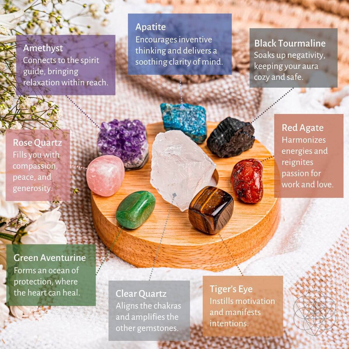 Conscious Items - Vendita all'ingrosso Lampada da scrivania/d'accento - La lampada a energia naturale4