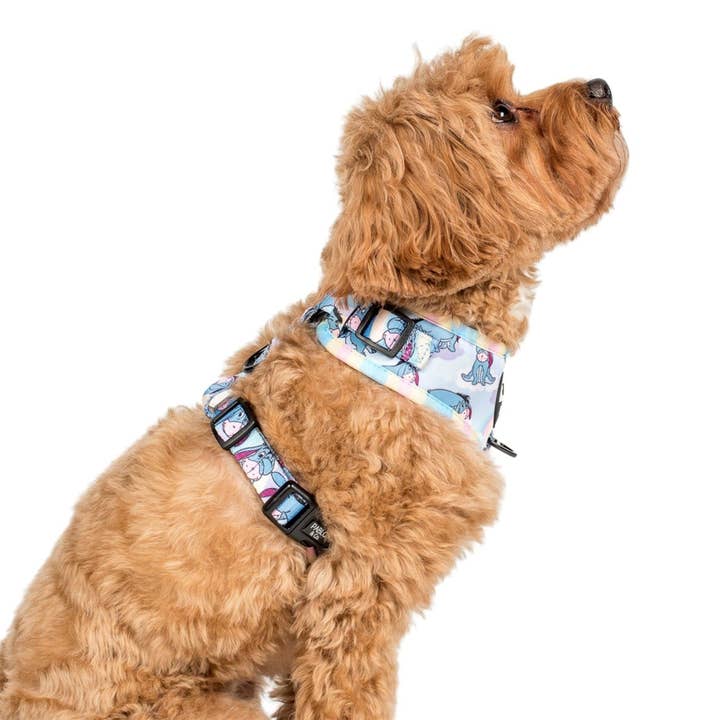 Pablo & Co. Boutique – Großhandel Haustiergeschirr – Hund – Eeyore: Verstellbares Hundegeschirr2
