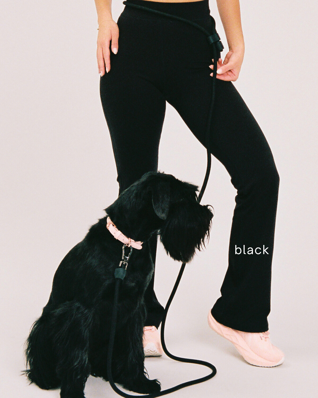 ST ARGO - Wholesale Pet Leash - Dog - HANDS FREE LEAD - Black1