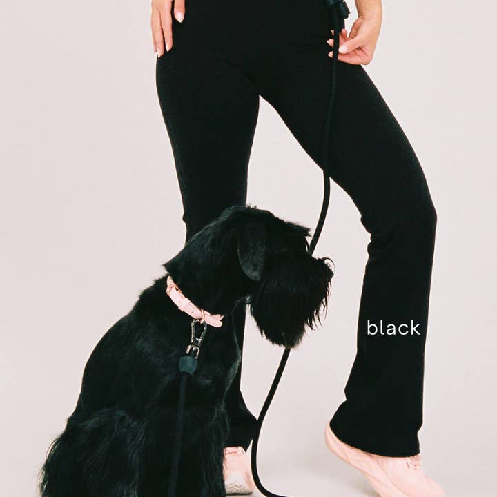 ST ARGO - Wholesale Pet leash – Dog - HANDS FREE LEAD - Black1