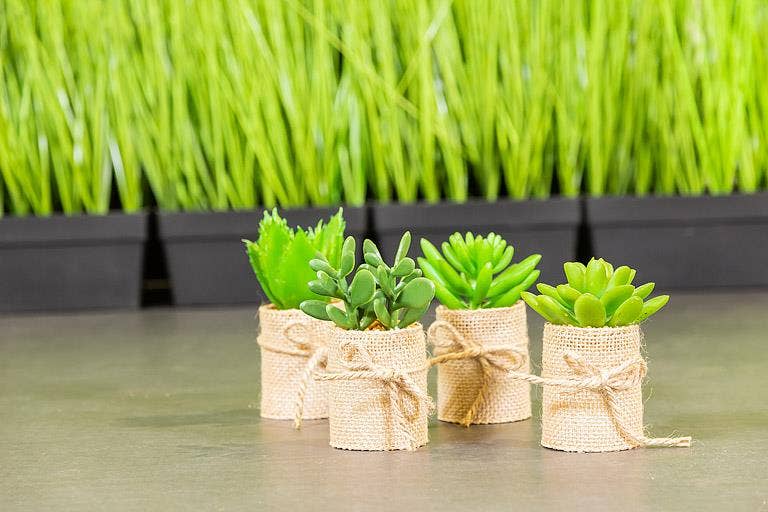 Abbott - Vente Plantes artificielles - Ensemble de 4 plantes succulentes dans un emballage en toile de jute - 4"H - Liquidation2
