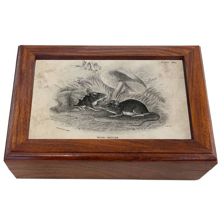 Madison Bay Co. - Historical Home Decor Reproductions - Wholesale Jewelry Box/Organizer - Mouse and Mushroom B&W Decorative Solid Wood Trinket Boxes