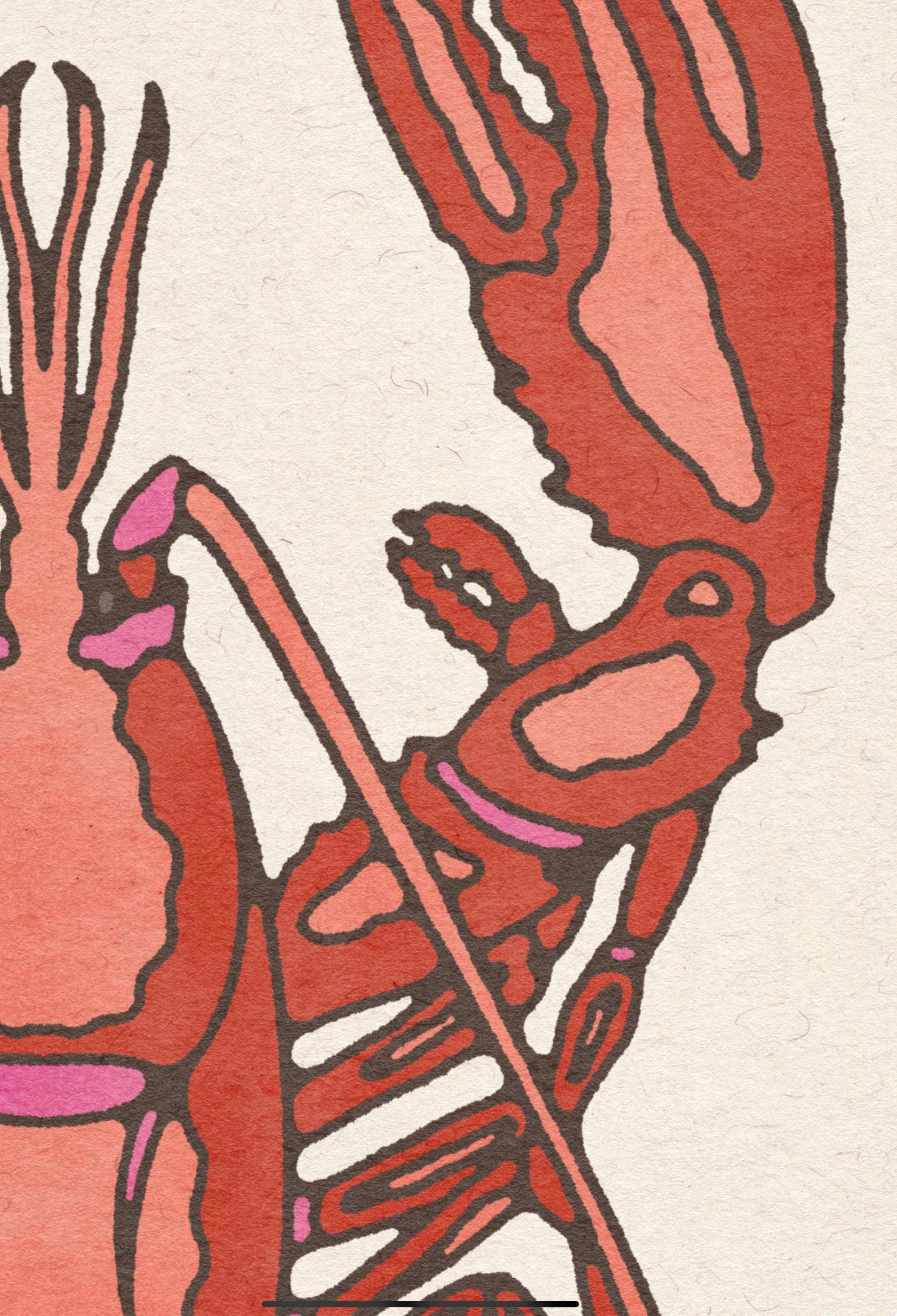 Brooke Finally - Wholesale Art Print - 8x8 Lobster Art Print1