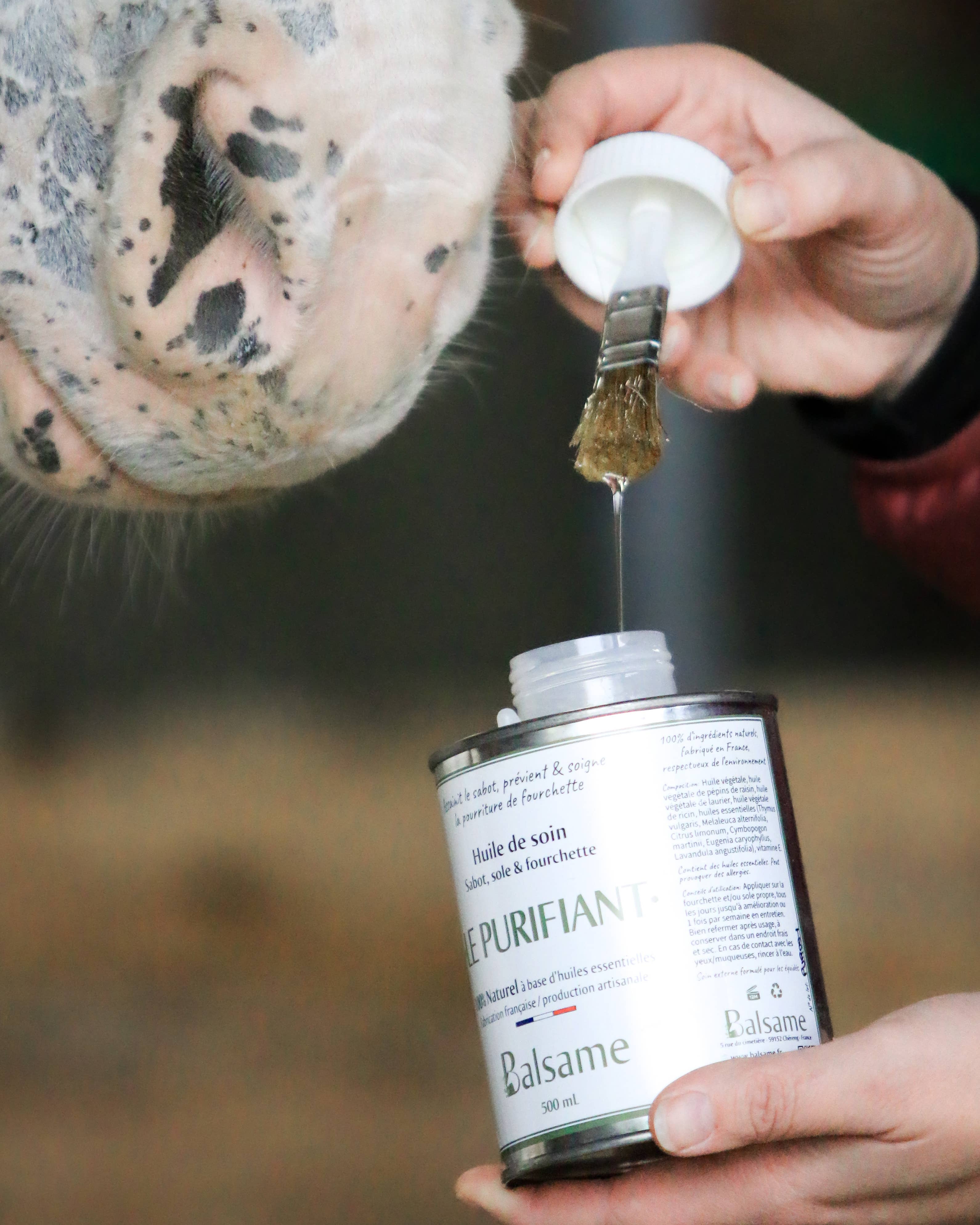 BALSAME - Wholesale Horse Conditioner/Grooming Aid - THE PURIFYING, Hoof Oil1