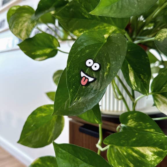 The Plant Supply - Wholesale Magnet - Magnetic Plant Faces | Magnet Charms for Plants