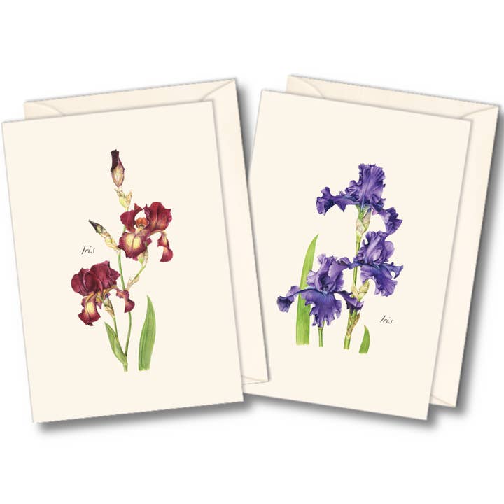Earth Sky + Water - Wholesale Stationery/Notecard Set - Iris Assortment