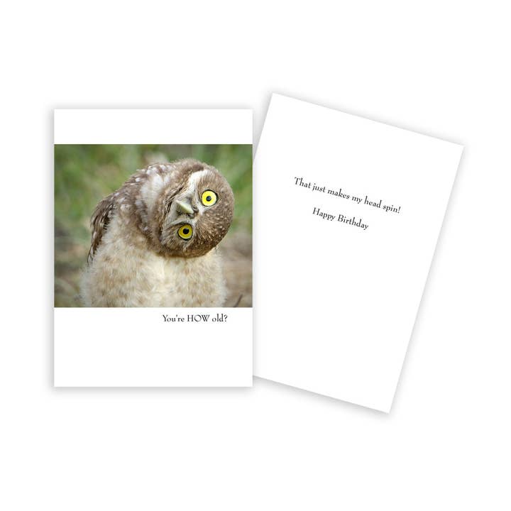 Rolig Uggla Barnens födelsedagskort för wholesale av Sun Day Greetings