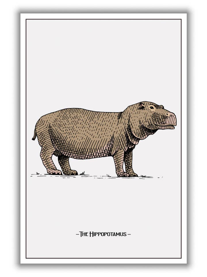 The hippopotamus for wholesale by Stanley Print House