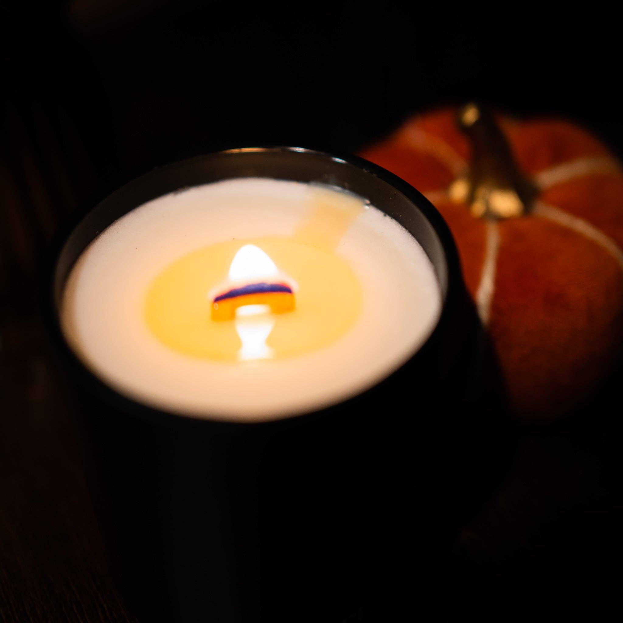 The Remontant - Wholesale Jar/Filled Candle - Maple Pumpkin| Sweet Spices ~ Pumpkin ~Maple | Wood Wick4