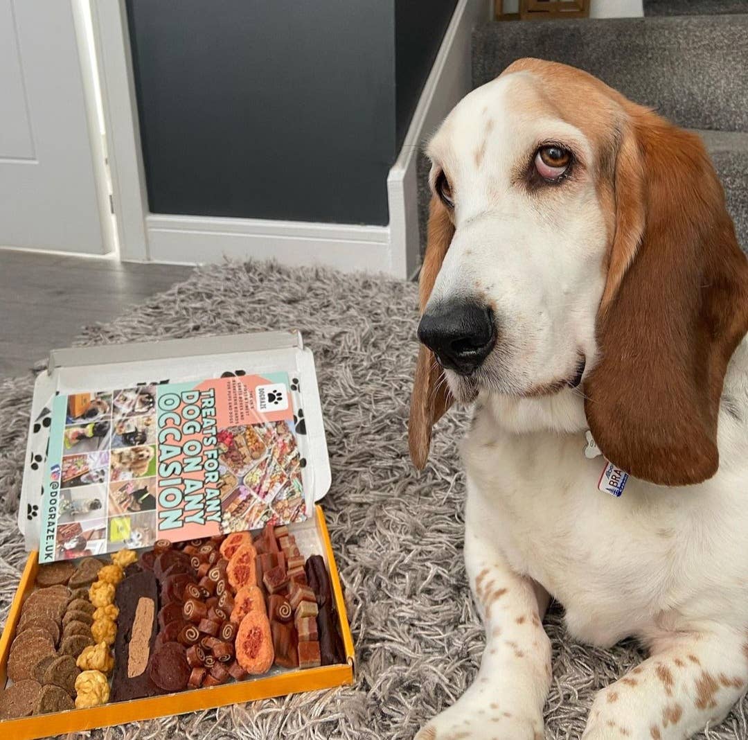 DOGraze – snacks e guloseimas - Cão por atacado – Caixa de Petiscos para Cães - SABOR PEIXE7