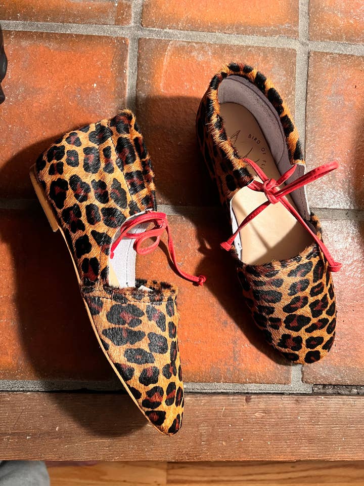 Amelie Leopardo para venta al por mayor de Bird of Flight