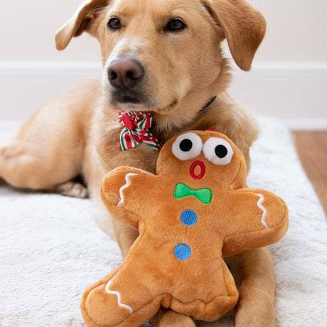 Huxley & Kent - Wholesale Pet Plush Toy - Dog - Ginger Snapped Dog Toy
