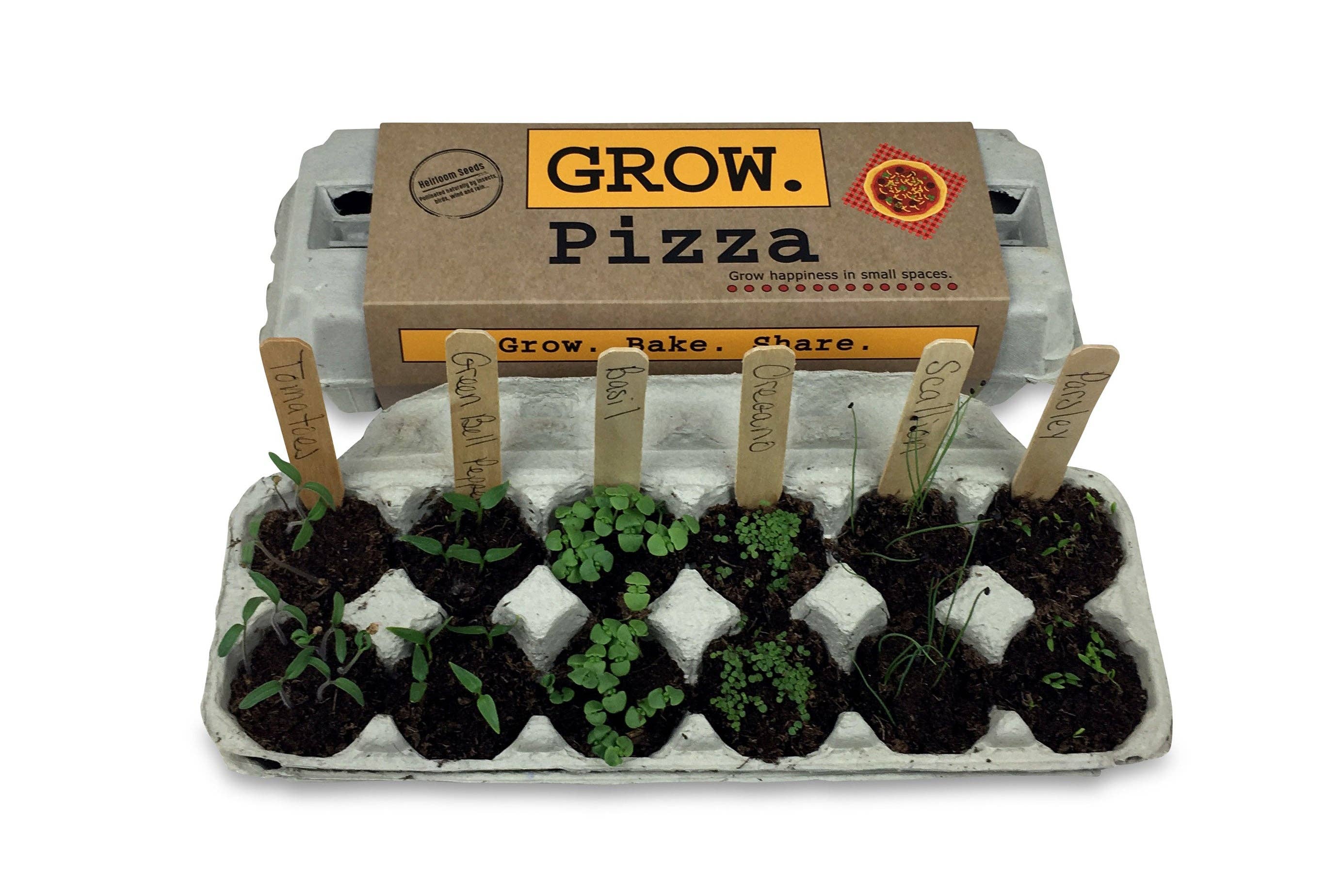 Backyard Safari Company - Wholesale Plant Seeds - Pizza Garden Grow Kit2