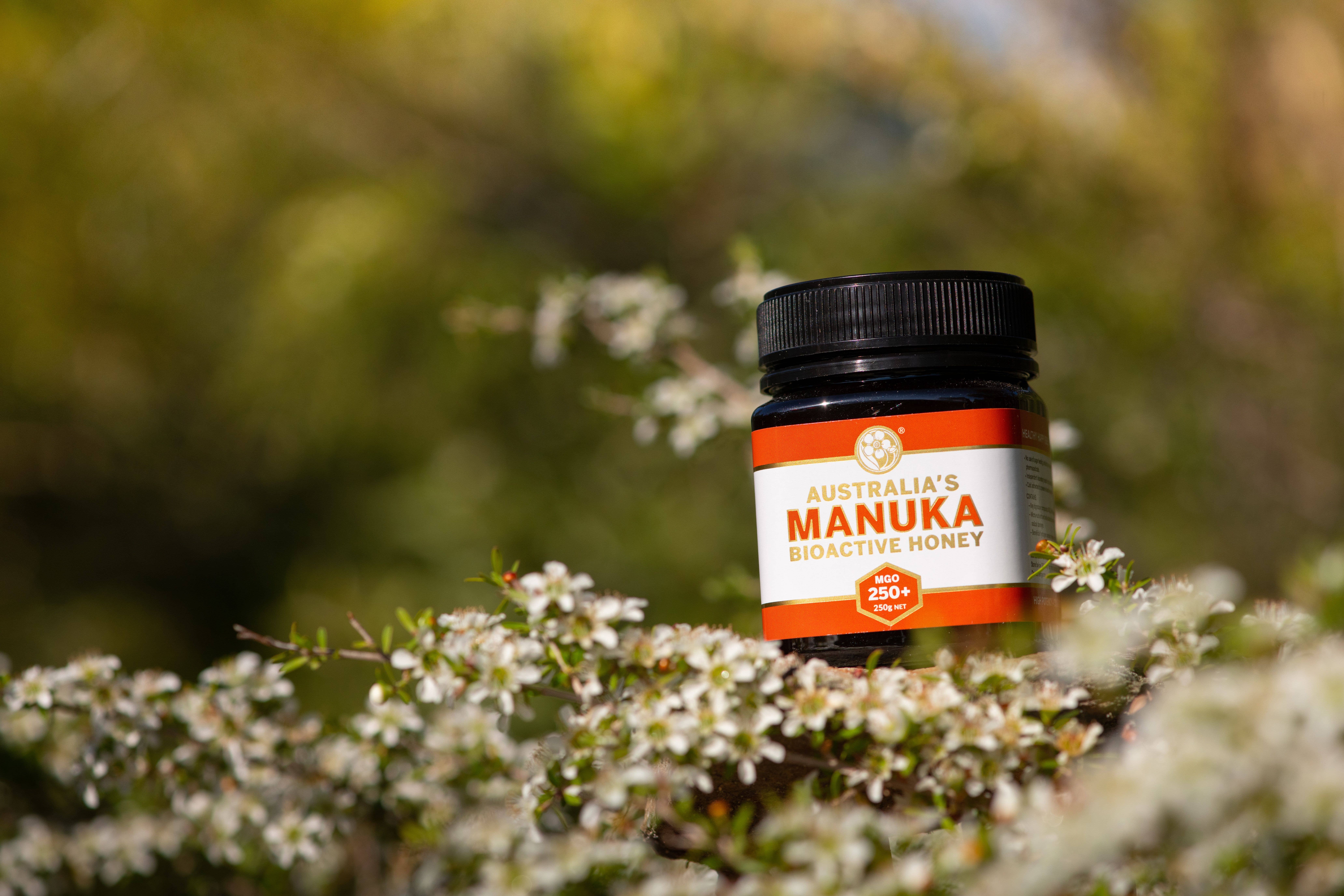 Australia's Manuka - Vente Miel - Australias Manuka Bioactive 250+Miel MGO 250g1