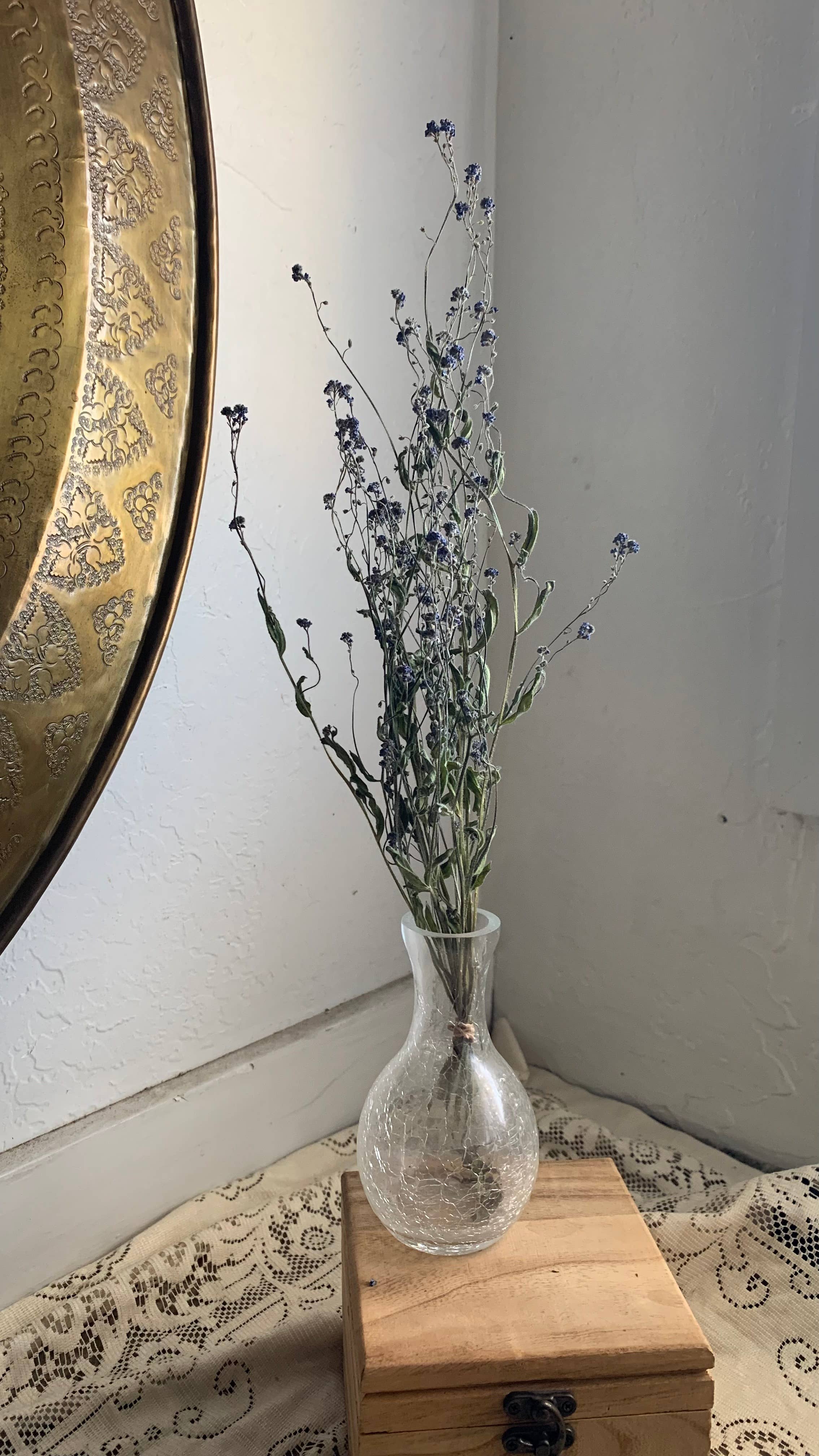 Twig and Snip - Wholesale Dried/Pressed Flowers - Dried Forget-me-nots Wildflower - Sympathy Flowers 1