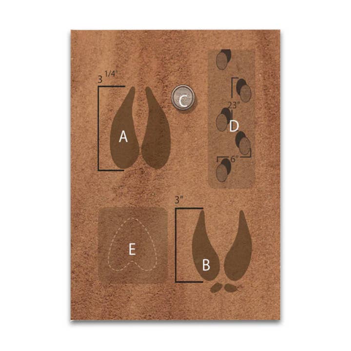 BattlBox - Wholesale Learning Cards - Kids & Baby - Animal Tracking Flashcards Kids Fun Activity Silva Tracking