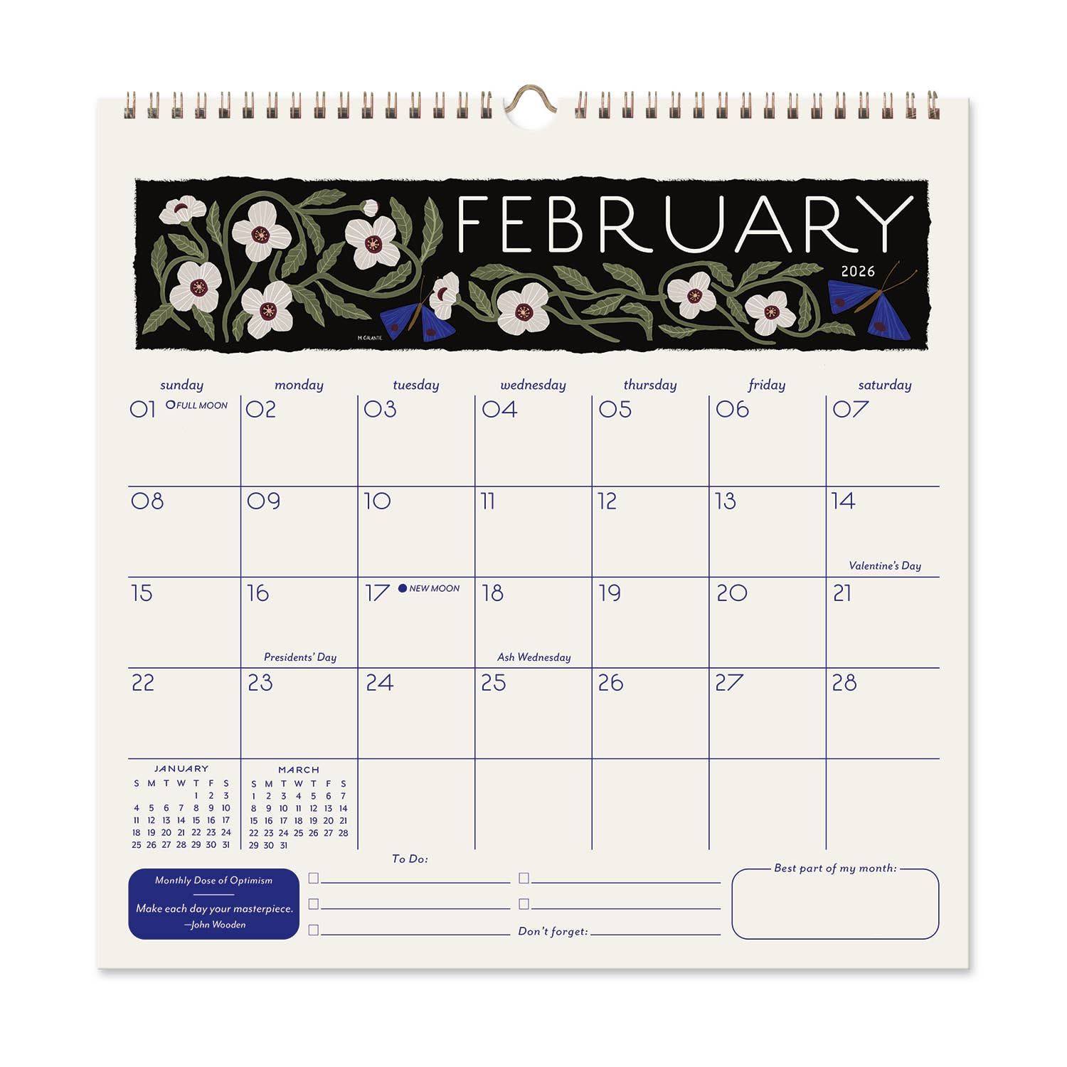 Seedlings - Wholesale Calendar - 2026 Seedlings Garden Party 12 Month Classic Grid Calendar22