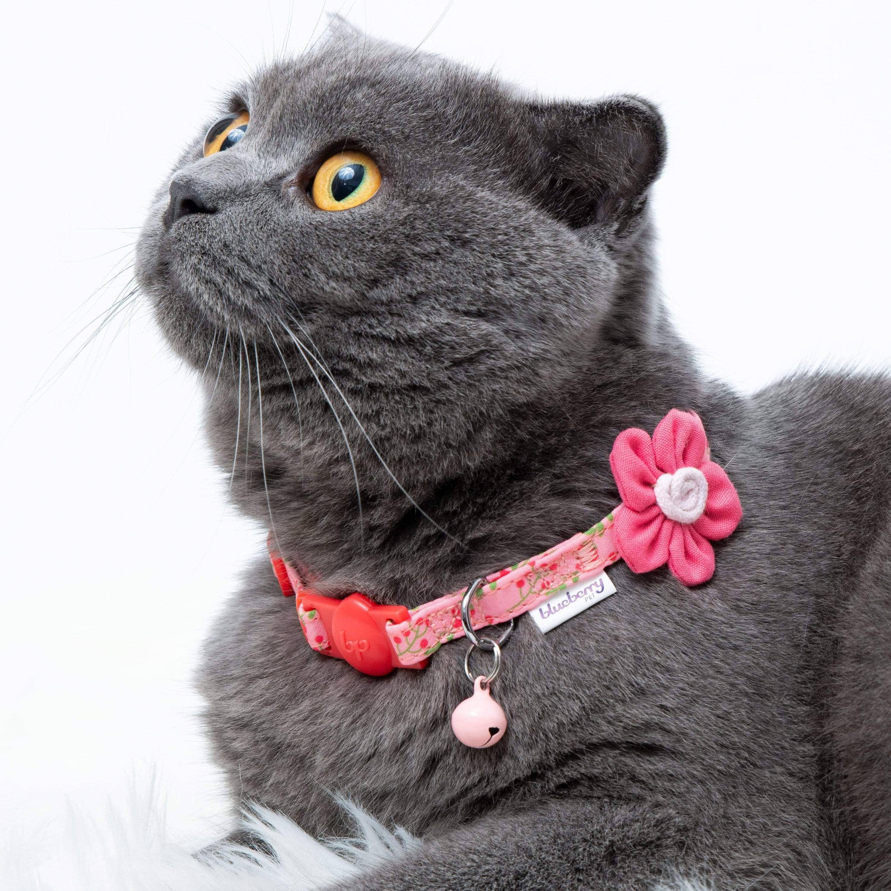 Lovely Cherry & Floral Cat Collar, 2 Pack for wholesale on Faire1