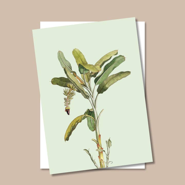 Slow Down A3 Print for wholesale by 30x40