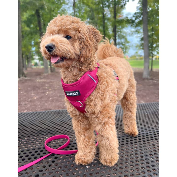DJANGO - Wholesale Pet Harness - Dog - Tahoe No Pull Dog Harness - Hibiscus Pink5