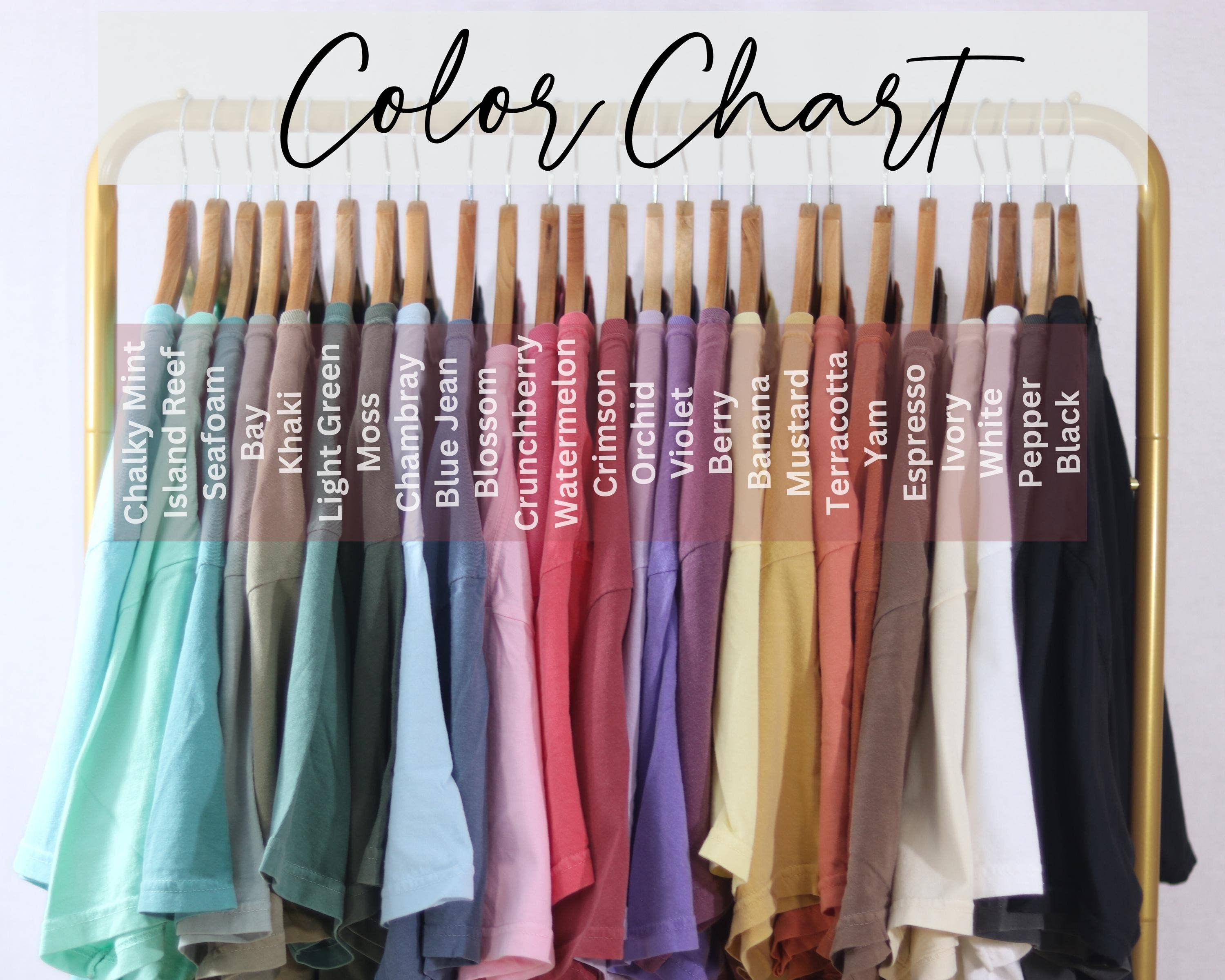 Keen Bee Studio - Wholesale Screen Printed T-Shirt - Unisex - Forget Flowers Buy Me Books Reading Unisex Garment-Dyed Heavyweight T-shirt2