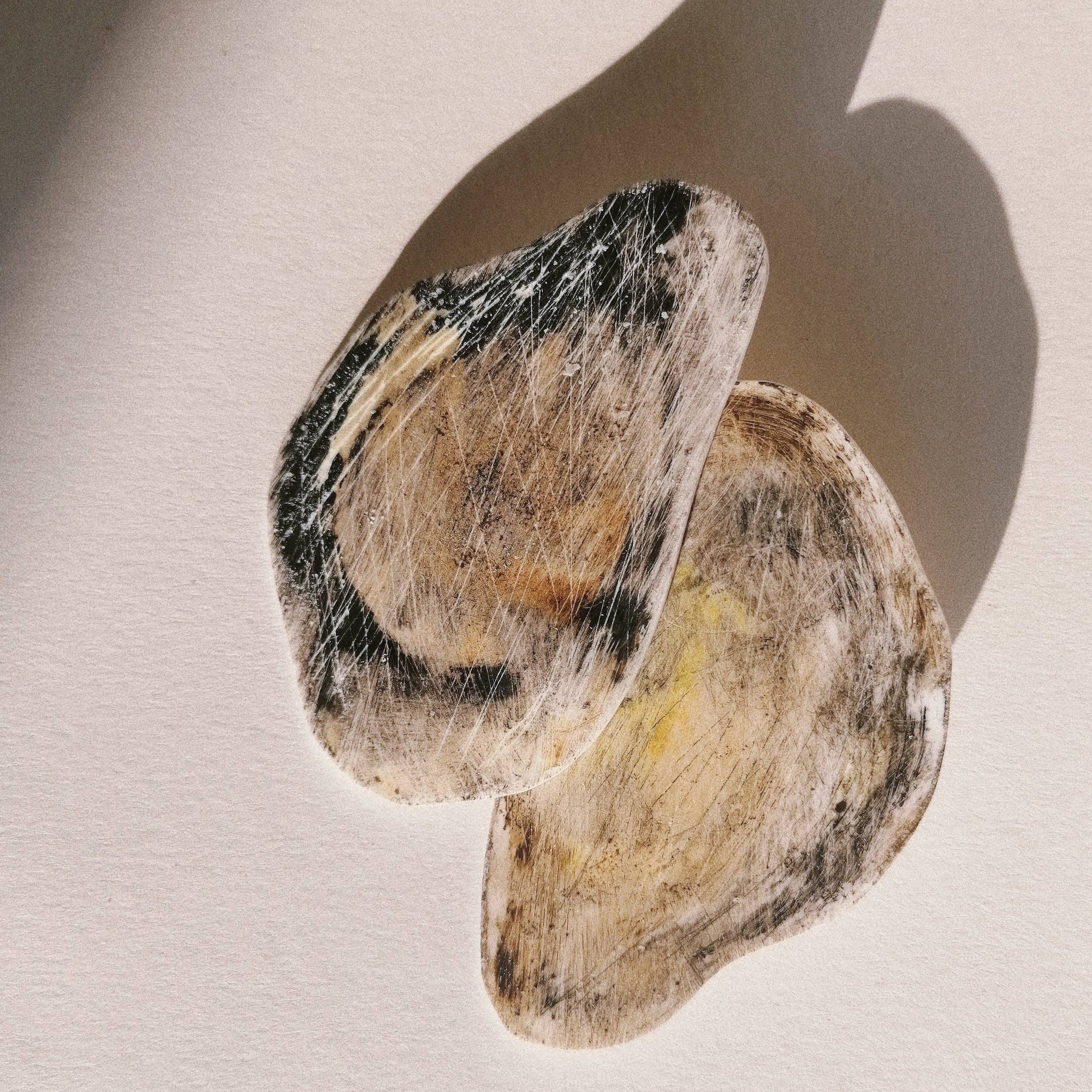 Atelier Serra - Wholesale Decorative Tabletop Object - Arábica1