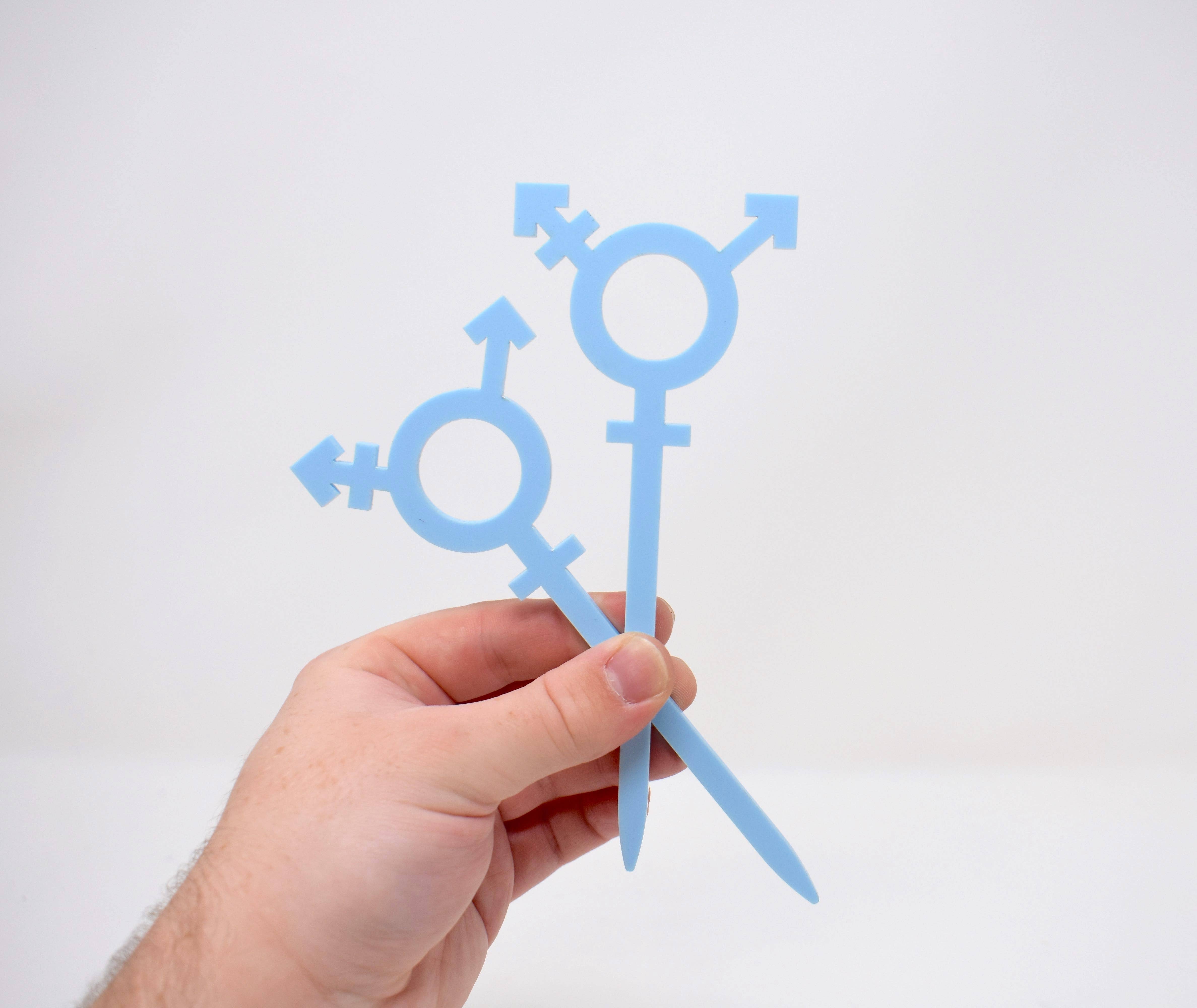 Morganite Press - Wholesale Plant Pot Stand - Transgender Symbol Plant Stake2