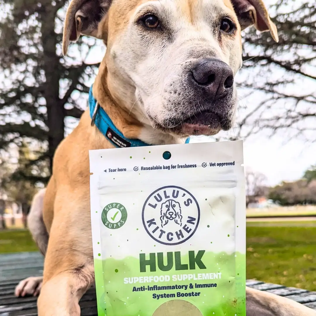 Rover Pet Products - Wholesale Pet food – Dog - Hulk - Anti-inflammatory & Immune System Booster Supp2