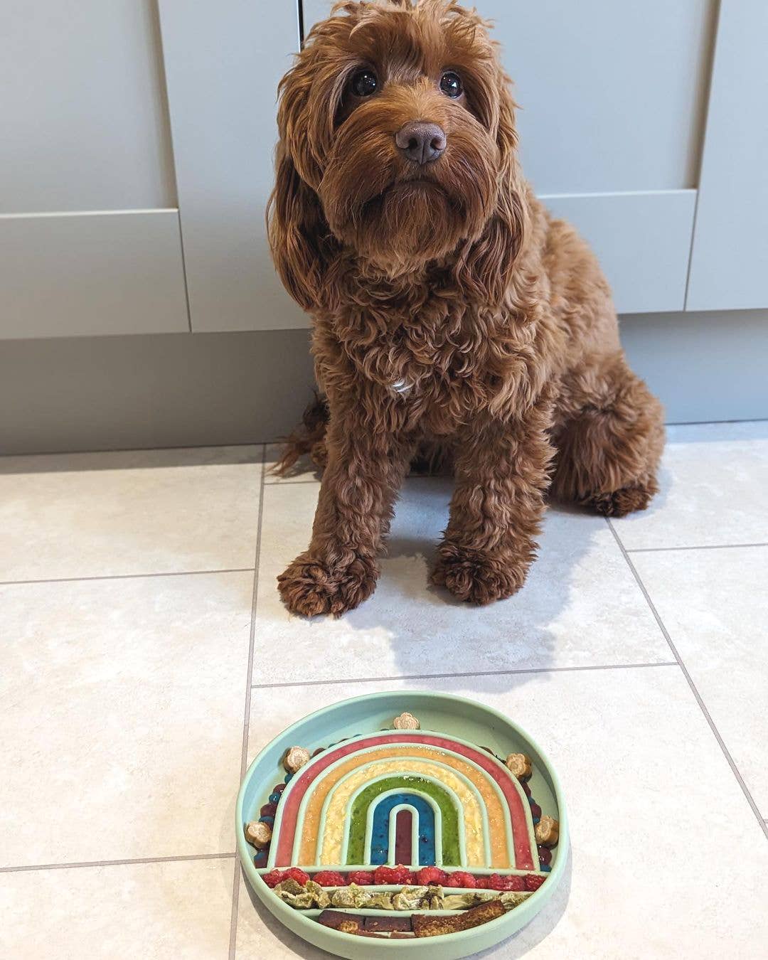 Pet Wiz - Wholesale Drinkbak - Kat/Hond - Siliconen slowfeeder voerbak met zuignap5