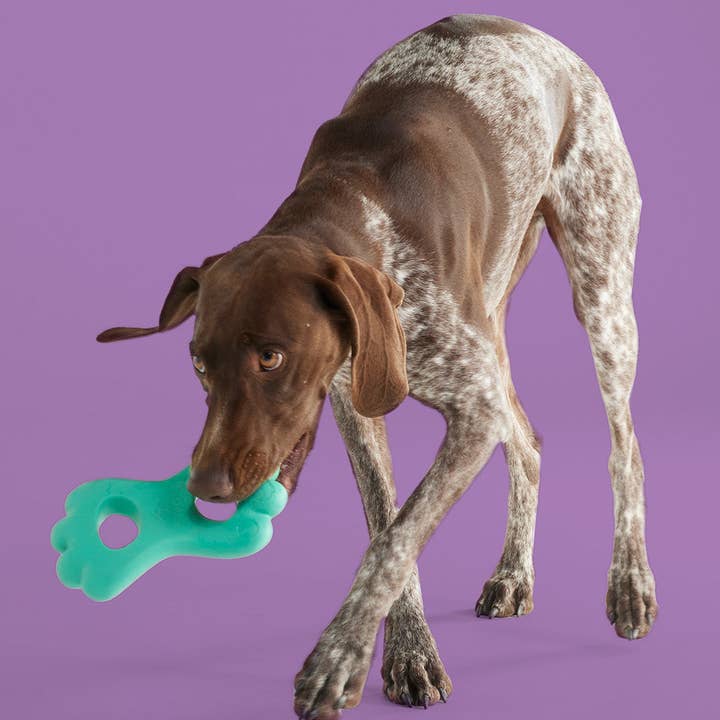 Yomp - Wholesale Pet Chew Toy - Dog - TugPup1