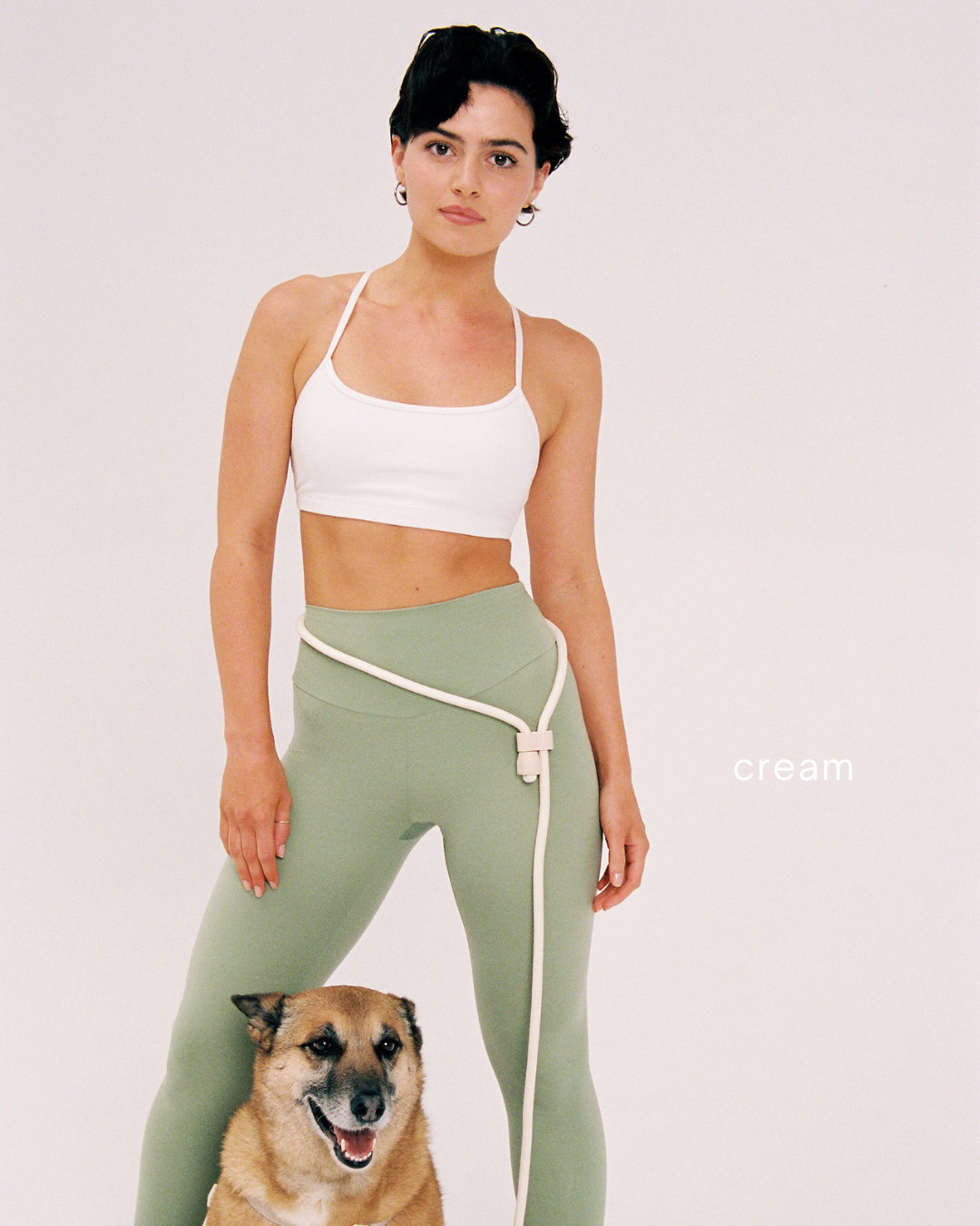 ST ARGO - Wholesale Pet Leash - Dog - HANDS FREE LEAD - Cream1